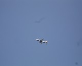 DSC01318