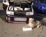 Ilshofen 2011 131
